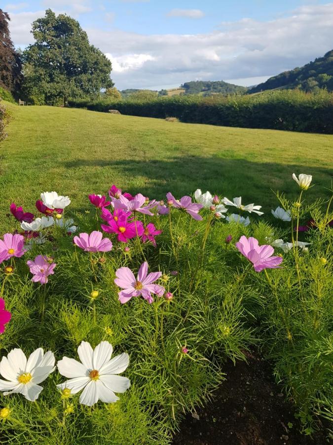 Eastwrey Barton Country House Lustleigh Екстериор снимка